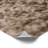 Cutest Baby Animals | Corgi Puppy on Shag Rug ポスター (角)