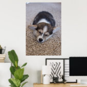 Cutest Baby Animals | Corgi Puppy on Shag Rug ポスター (ホームオフィス)