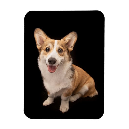 Cutest Baby Animals | Corgi Puppy Smile マグネット (縦)