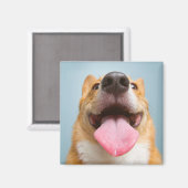 Cutest Baby Animals | Corgi Tongue マグネット (正面/裏面)