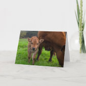 Cutest Baby Animals | Cow & Calf カード (正面)