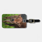 Cutest Baby Animals | Cow & Calf ラゲッジタグ (正面横)