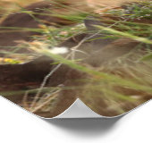 Cutest Baby Animals | Cute Baby Lion Cub ポスター (角)