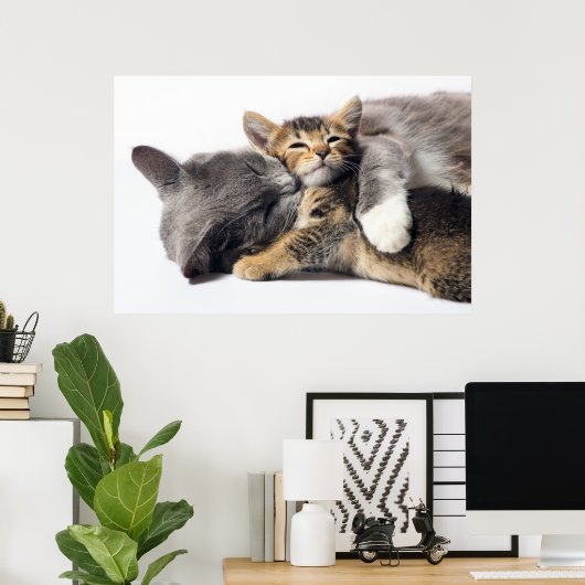 Cutest Baby Animals | Cute Kitten Hug ポスター (ホームオフィス)