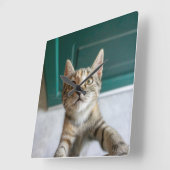 Cutest Baby Animals | Cute Tabby Kitten スクエア壁時計 (傾斜)