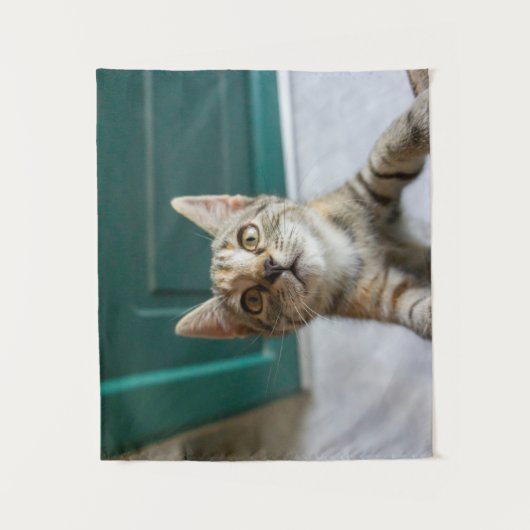 Cutest Baby Animals | Cute Tabby Kitten タペストリー (正面)