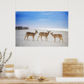 Cutest Baby Animals | Deer at the Beach ポスター (キッチン)