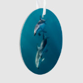 Cutest Baby Animals | Dolphin Family オーナメント (正面)