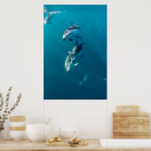 Cutest Baby Animals | Dolphin Family ポスター (キッチン)