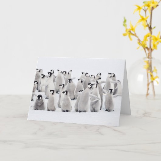 Cutest Baby Animals | Emperor Penguin Chicks カード (黄色い花)