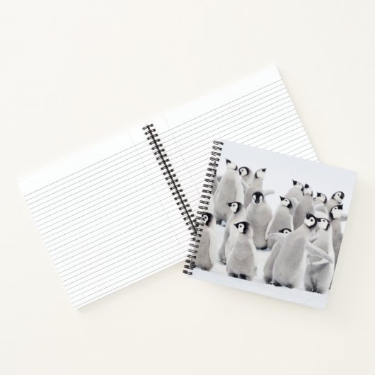 Cutest Baby Animals | Emperor Penguin Chicks ノートブック (内部)