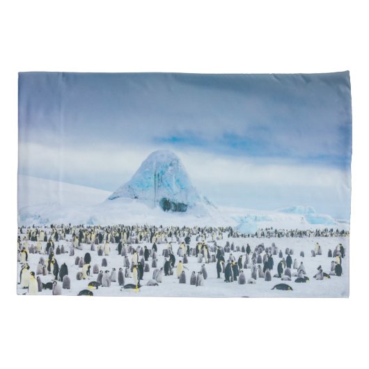 Cutest Baby Animals | Emperor Penguin Colony 枕カバー (裏面)