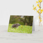 Cutest Baby Animals | European Hedgehog カード (黄色い花)