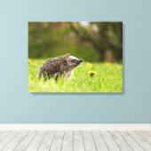 Cutest Baby Animals | European Hedgehog キャンバスプリント (インサイチュ (ウッドフロア))