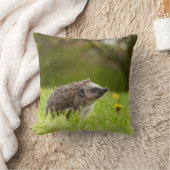 Cutest Baby Animals | European Hedgehog クッション (ブランケット)