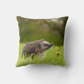 Cutest Baby Animals | European Hedgehog クッション (裏面)