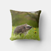 Cutest Baby Animals | European Hedgehog クッション (正面)