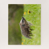 Cutest Baby Animals | European Hedgehog ジグソーパズル (縦)