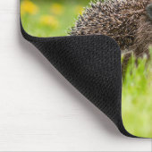 Cutest Baby Animals | European Hedgehog マウスパッド (コーナー)