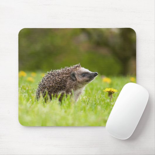 Cutest Baby Animals | European Hedgehog マウスパッド (マウス)