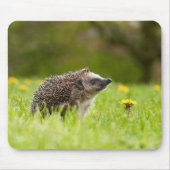 Cutest Baby Animals | European Hedgehog マウスパッド (正面)