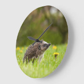 Cutest Baby Animals | European Hedgehog ラージ壁時計 (傾斜)