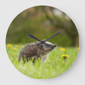 Cutest Baby Animals | European Hedgehog ラージ壁時計 (正面)