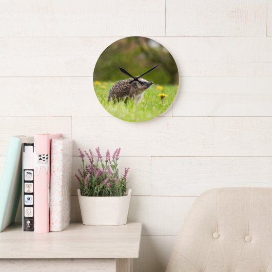 Cutest Baby Animals | European Hedgehog ラージ壁時計 (読書スペース)