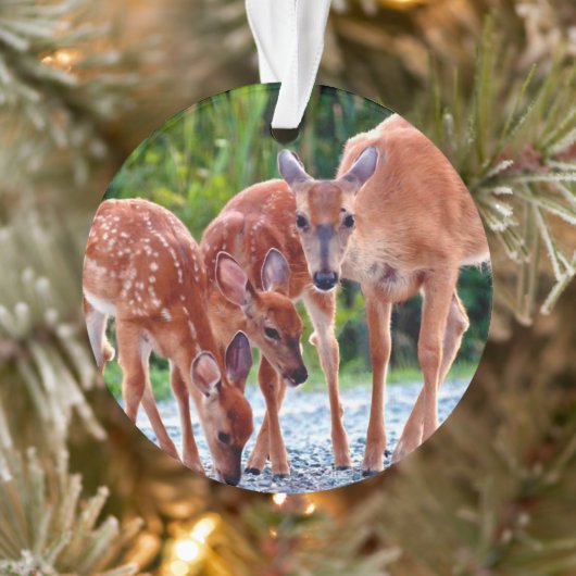 Cutest Baby Animals | Fawn with Babies オーナメント (ツリー)
