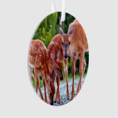 Cutest Baby Animals | Fawn with Babies オーナメント (正面)