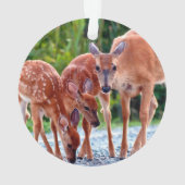 Cutest Baby Animals | Fawn with Babies オーナメント (裏面)