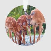 Cutest Baby Animals | Fawn with Babies オーナメント (正面)