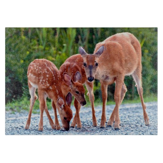 Cutest Baby Animals | Fawn with Babies カッティングボード (正面)