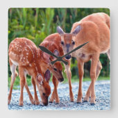 Cutest Baby Animals | Fawn with Babies スクエア壁時計 (正面)