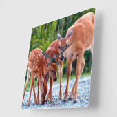 Cutest Baby Animals | Fawn with Babies スクエア壁時計 (傾斜)