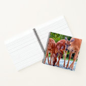 Cutest Baby Animals | Fawn with Babies ノートブック (内部)