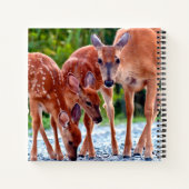 Cutest Baby Animals | Fawn with Babies ノートブック (裏面)