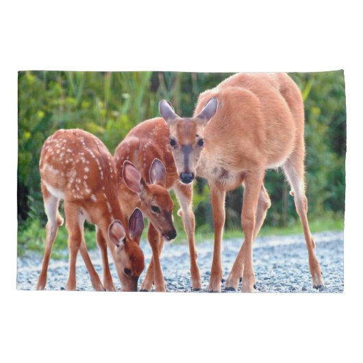 Cutest Baby Animals | Fawn with Babies 枕カバー (裏面)