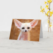 Cutest Baby Animals | Fennec Fox カード (黄色い花)