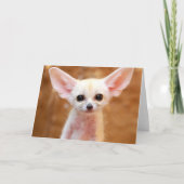 Cutest Baby Animals | Fennec Fox カード (正面)