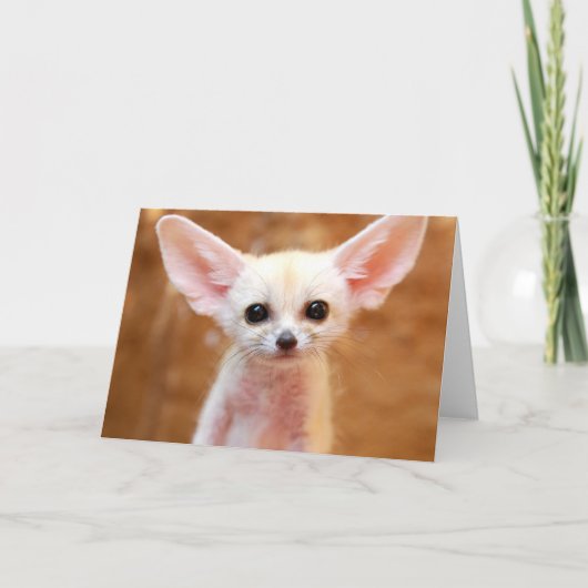 Cutest Baby Animals | Fennec Fox カード (正面)