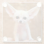 Cutest Baby Animals | Fennec Fox ガラスコースター (裏面)
