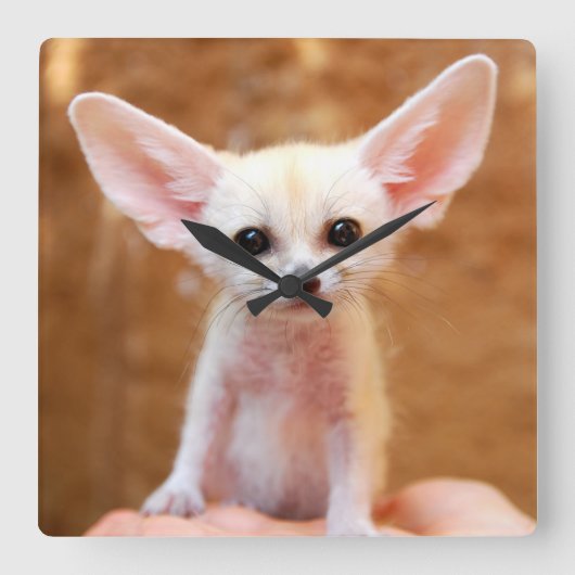 Cutest Baby Animals | Fennec Fox スクエア壁時計 (正面)