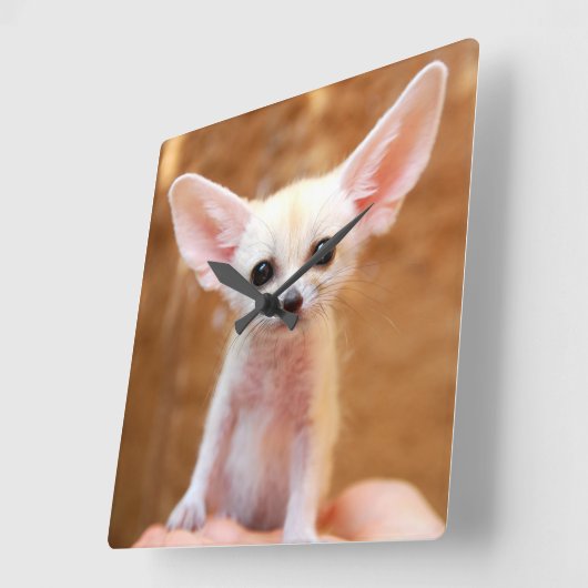 Cutest Baby Animals | Fennec Fox スクエア壁時計 (傾斜)