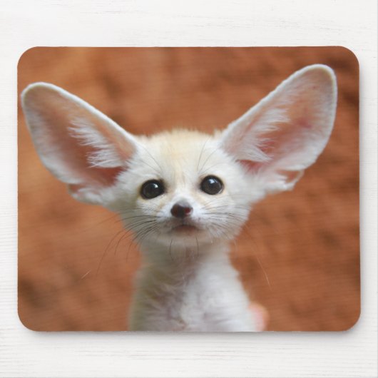 Cutest Baby Animals | Fennec Fox Pup マウスパッド (正面)