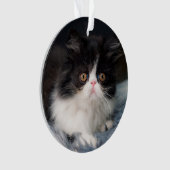 Cutest Baby Animals | Fluffy B&W Kitten オーナメント (正面)
