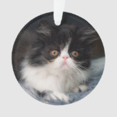 Cutest Baby Animals | Fluffy B&W Kitten オーナメント (正面)