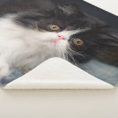 Cutest Baby Animals | Fluffy B&W Kitten シェルパブランケット (3/4)