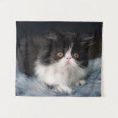 Cutest Baby Animals | Fluffy B&W Kitten タペストリー (正面(横))