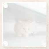 Cutest Baby Animals | Fluffy Orange Kitten ガラスコースター (裏面)